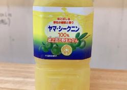 ヤマ・シークニン