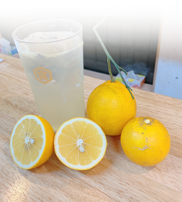 おしゃれ居酒屋みっちー